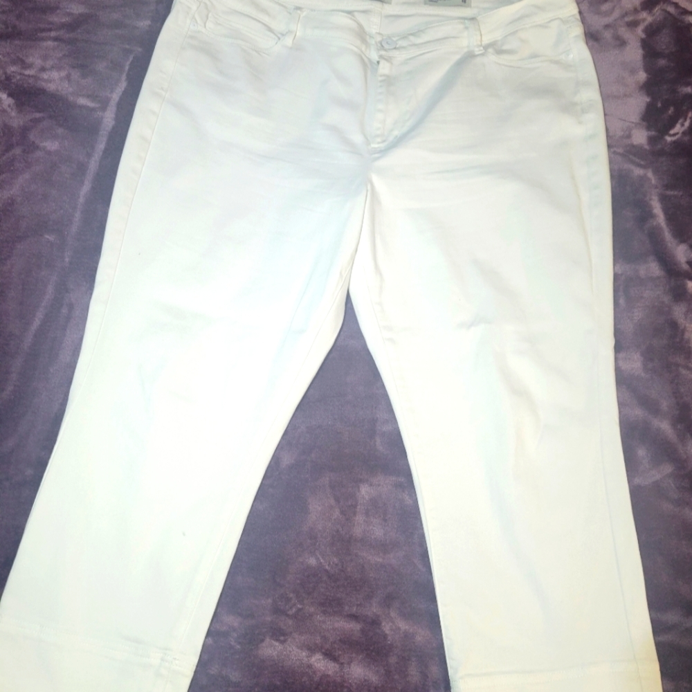 J. Jill Denim pants